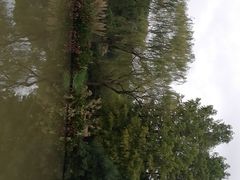 -新江湾城公园