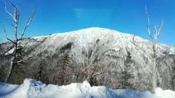 -大秃顶子山