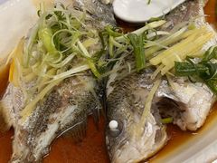 -烧鹅妹饭店