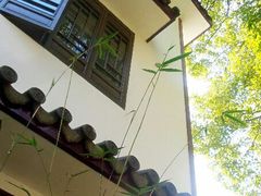 android_upload_pic-西湖茶墅