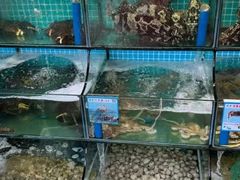 -三亚相缘海鲜·烧烤·糟粕醋(三亚湾店)