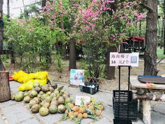 -大鹅岛绿色生态美食园