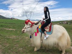 -青海湖国家重点风景名胜区