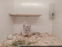 -龙猫仔乐园(惠福东路店)