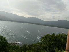 -西涌国际滨海旅游区