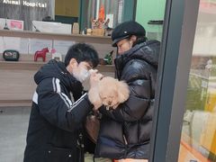 -严国平动物医院(德政总院)