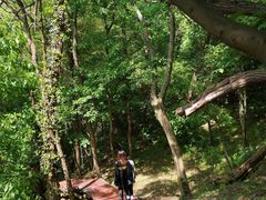 -南京市无想山景区