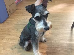 -拳盛时代拳击俱乐部(北京路店)