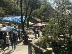 -王顺山国家森林公园
