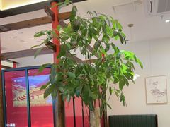-红椒香·闽北光泽菜·宴请聚会(奥体店)