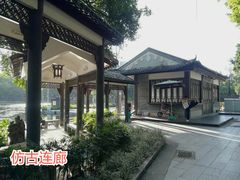 -荔湾湖公园