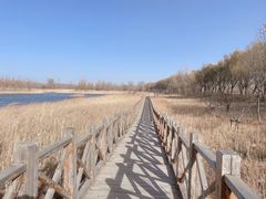 -野鸭湖国家湿地公园