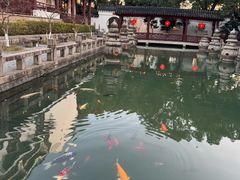 -苏州吴宫泛太平洋酒店