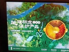 -巴奴毛肚火锅(大剧院店)