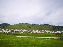 -关山牧场王师烤全羊