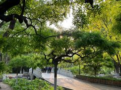 -莲花池公园