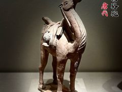 -西安博物院