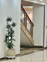 -上海伊莱美医疗美容医院