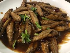 -何适山庄 ·可团建(水长城P2停车场店)