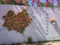 -北京凤凰岭