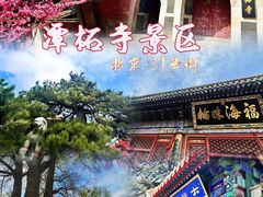 -潭柘寺景区