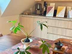 -花神·轻食简餐·咖啡馆·花卉绿植(荷兰花卉小镇店)
