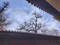 -胡氏古民居建筑