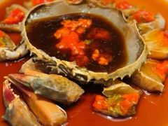 -庐灶江南·江南菜·四合院Bistro(东直门雍和宫·原华侨宾馆店)