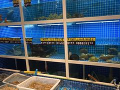 水产区-金龙·打边炉(南京西路店)