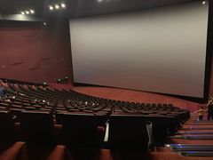 -悦江新远影城IMAX