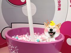 -新世界大丸百货