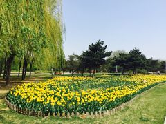 -长春公园(普阳街道)