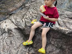 -广州白江湖森林公园