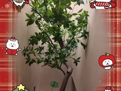 -宫七SPA·高端Massage(浦东大道店)