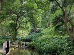-广州市白云山风景名胜区