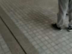 -东京都厅舍