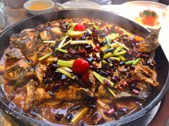 -老板恋上鱼(恒隆广场店)