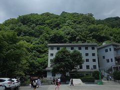 -牛背梁国家森林公园