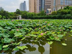 -黄兴公园