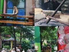 -灵玲国际马戏城