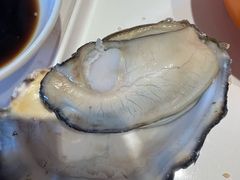 -杨氏青龙虾·羊蝎子(托乐嘉店)
