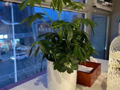 -大鸭梨烤鸭(枣园店)