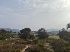 -大姆山草场