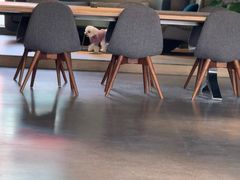 -山下C5cafe(惠通时代广场店)
