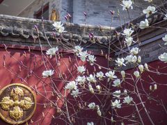 -西安市广仁寺