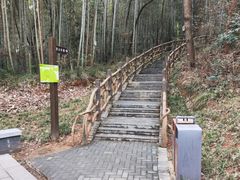 -青龙山国家森林公园
