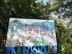 -福田红树林生态公园
