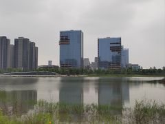 -金沙湖公园