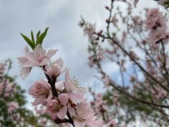 -千龙湖生态旅游度假区