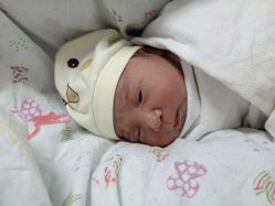 -上海市嘉定区妇幼保健院